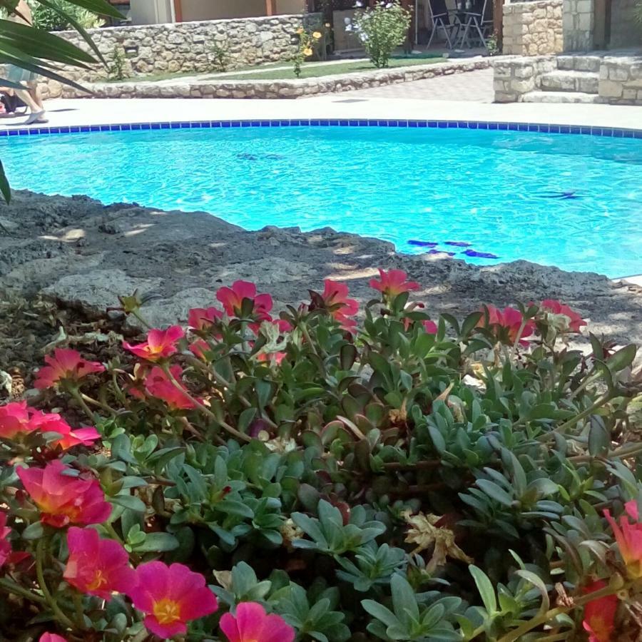 Villa Stella D'Oro Georgioupoli Bagian luar foto